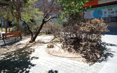«Vecinos por Majadahonda» apoya a los residentes de Plaza Pizarro y Bulevar Cervantes: deterioro por falta de riego, limpieza, ruido