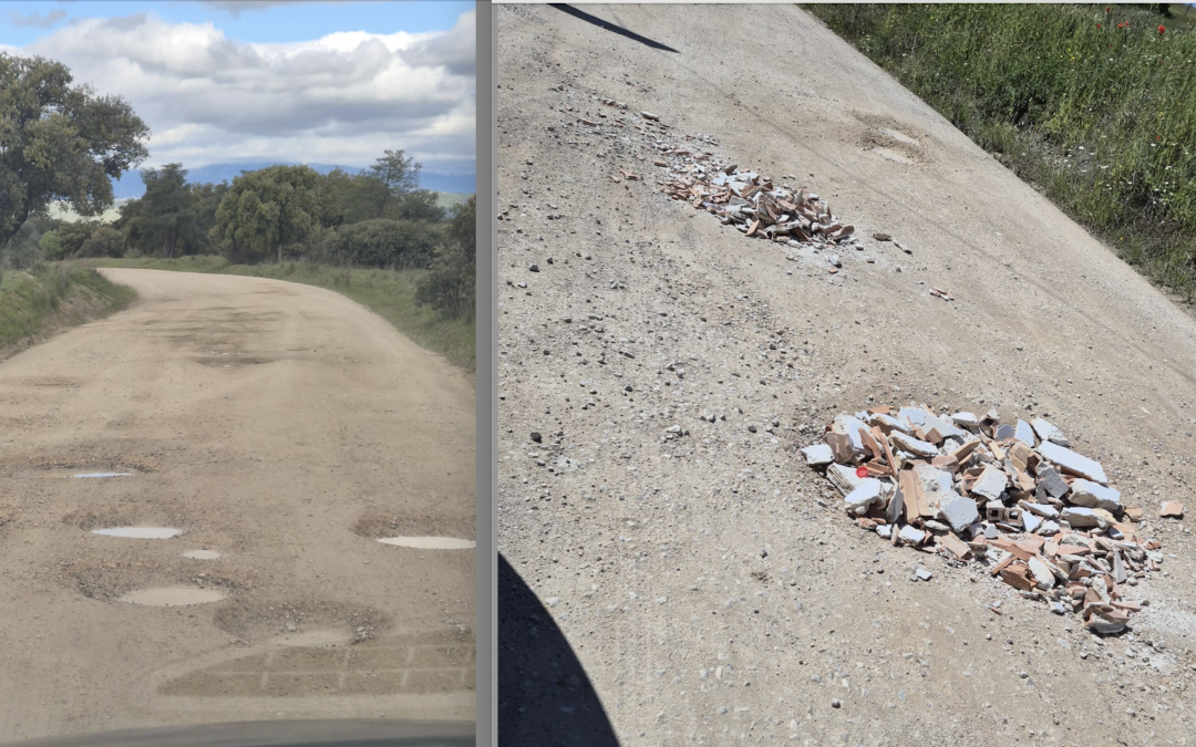 Preguntas de «Vecinos por Majadahonda» y respuestas del PP sobre desperfectos en los caminos de La Dehesa, rebajas en el IBI por Tasa de Basuras, obras en Las Viñas y deterioro del barrio del Monte del Pilar