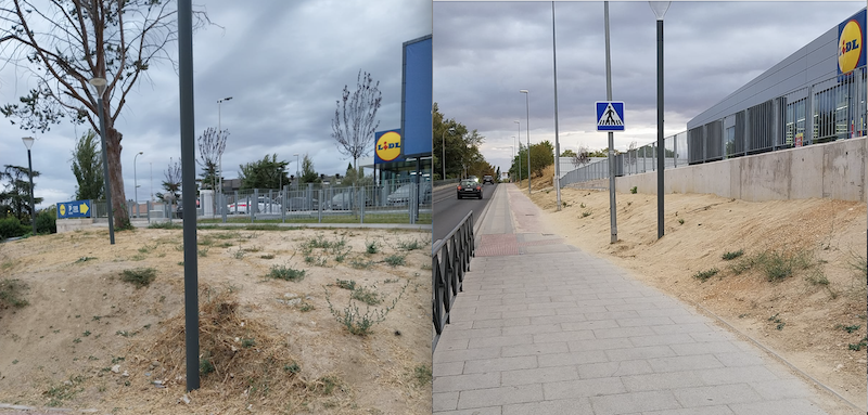 Las 5 preguntas de «Vecinos por Majadahonda» sobre árboles junto al cementerio, basuras, ruidos de vehículos a motor y coches abandonados con las curiosas respuestas que ofrece el PP