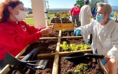 «Vecinos por Majadahonda» solicita una reunión para instalar jardines comunitarios en el Hospital Puerta de Hierro y huertos urbanos en la zona pero PP-Vox se niegan