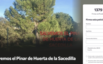 «Vecinos por Majadahonda» apoya a los 1.300 vecinos que quieren salvar el Pinar de Huerta de la Sacedilla pero PP y Vox no los respaldan